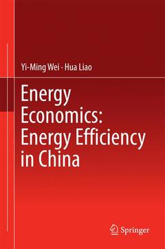 Couverture de l’ouvrage Energy Economics: Energy Efficiency in China