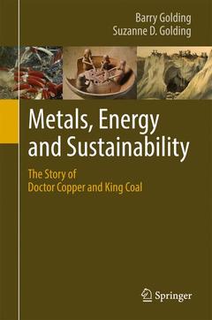 Couverture de l’ouvrage Metals, Energy and Sustainability