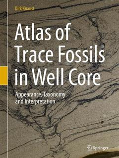 Cover of the book Atlas of Trace Fossils in Well Core