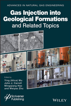 Couverture de l’ouvrage Gas Injection into Geological Formations and Related Topics