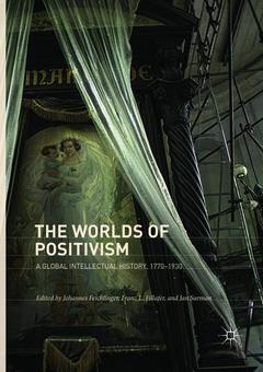 Couverture de l’ouvrage The Worlds of Positivism