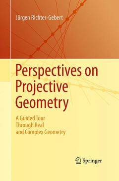 Couverture de l’ouvrage Perspectives on Projective Geometry
