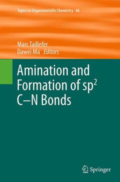 Couverture de l’ouvrage Amination and Formation of sp2 C-N Bonds