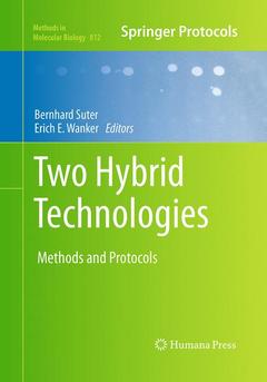 Cover of the book Two Hybrid Technologies