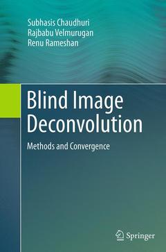 Couverture de l’ouvrage Blind Image Deconvolution