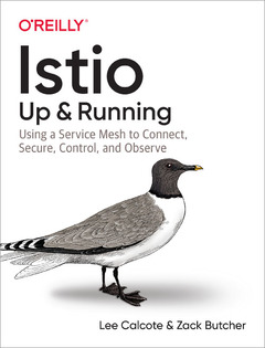 Cover of the book Istio: Up and Running