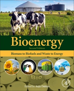 Couverture de l’ouvrage Bioenergy