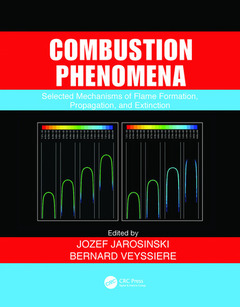 Cover of the book Combustion Phenomena
