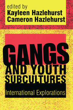 Couverture de l’ouvrage Gangs and Youth Subcultures