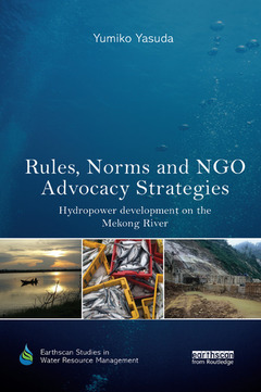 Couverture de l’ouvrage Rules, Norms and NGO Advocacy Strategies