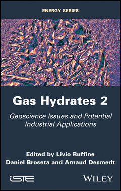 Couverture de l’ouvrage Gas Hydrates 2