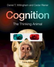 Couverture de l’ouvrage Cognition