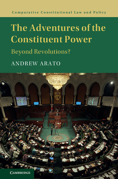 Couverture de l’ouvrage The Adventures of the Constituent Power