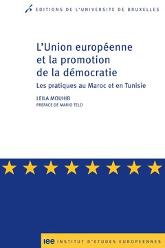 Cover of the book L UNION EUROPEENNE ET LA PROMOTION DE LA DEMOCRATIE