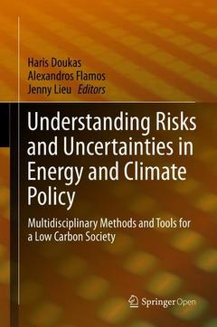 Cover of the book Understanding Risks and Uncertainties in Energy and Climate Policy