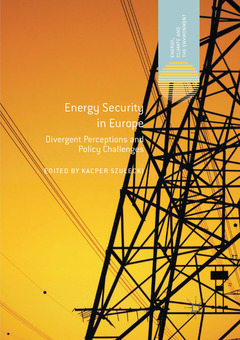 Cover of the book Energy Security in Europe