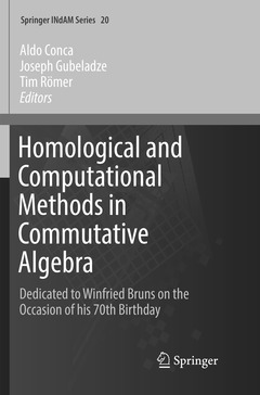 Couverture de l’ouvrage Homological and Computational Methods in Commutative Algebra
