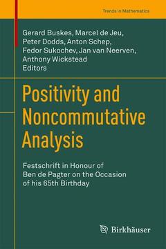 Couverture de l’ouvrage Positivity and Noncommutative Analysis