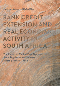 Couverture de l’ouvrage Bank Credit Extension and Real Economic Activity in South Africa