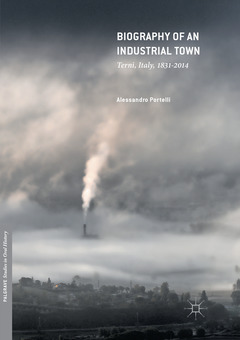 Cover of the book Biography of an Industrial Town