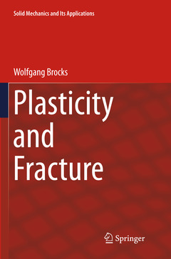 Couverture de l’ouvrage Plasticity and Fracture