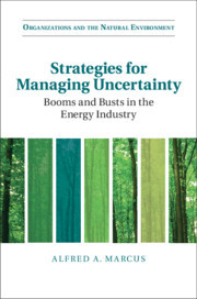 Cover of the book Strategies for Managing Uncertainty