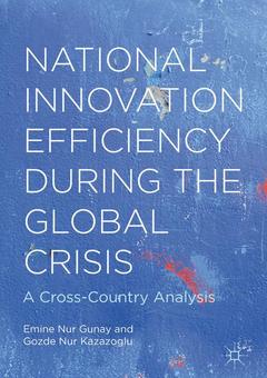 Couverture de l’ouvrage National Innovation Efficiency During the Global Crisis