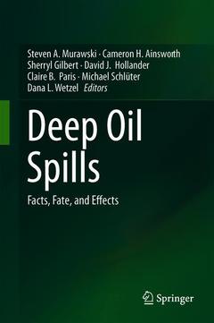 Cover of the book Deep Oil Spills