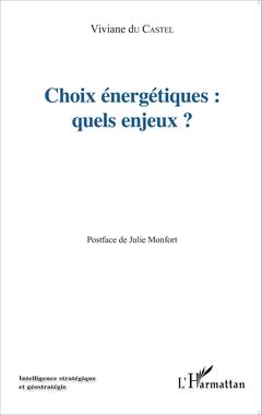 Cover of the book Choix énergétiques : quels enjeux?