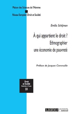 Cover of the book A QUI APPARTIENT LE DROIT ?