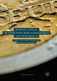 Cover of the book Raising Capital or Improving Risk Management and Efficiency?