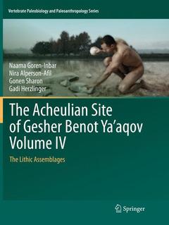 Couverture de l’ouvrage The Acheulian Site of Gesher Benot Ya‘aqov Volume IV