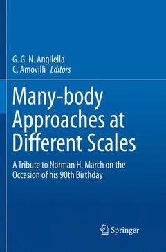 Couverture de l’ouvrage Many-body Approaches at Different Scales