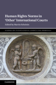 Couverture de l’ouvrage Human Rights Norms in ‘Other' International Courts