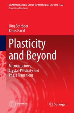 Couverture de l’ouvrage Plasticity and Beyond