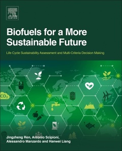 Cover of the book Biofuels for a More Sustainable Future