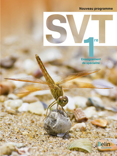 Cover of the book SVT 1re