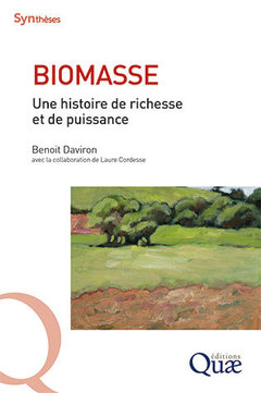 Couverture de l’ouvrage Biomasse