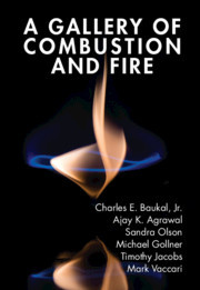 Cover of the book A Gallery of Combustion and Fire