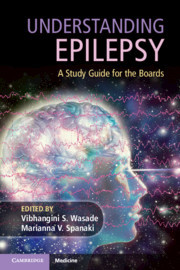Cover of the book Understanding Epilepsy