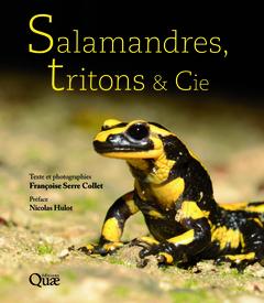 Couverture de l’ouvrage Salamandres, tritons et Cie