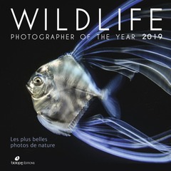 Couverture de l’ouvrage Wildlife photographer of the year 2019