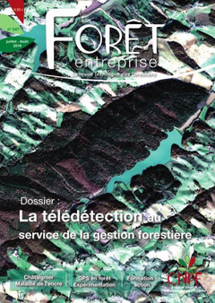 Couverture de l'ouvrage Forêt entreprise N° 247 : la télédétection au service de la gestion forestière