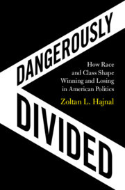 Cover of the book Dangerously Divided