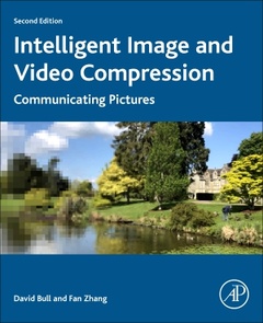 Cover of the book Intelligent Image and Video Compression