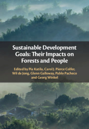 Couverture de l’ouvrage Sustainable Development Goals: Their Impacts on Forests and People