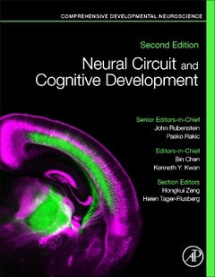 Couverture de l’ouvrage Neural Circuit and Cognitive Development