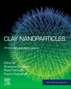 Couverture de l’ouvrage Clay Nanoparticles