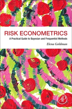 Couverture de l’ouvrage Risk Econometrics