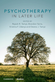 Couverture de l’ouvrage Psychotherapy in Later Life